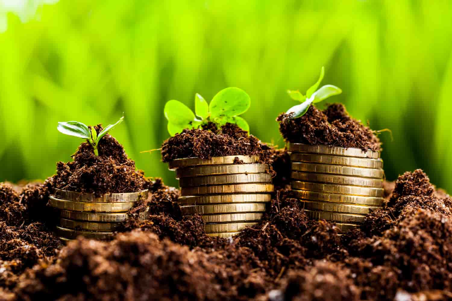 Contabilidade Para Agronegócio - ARBOS CONTABILIDADE