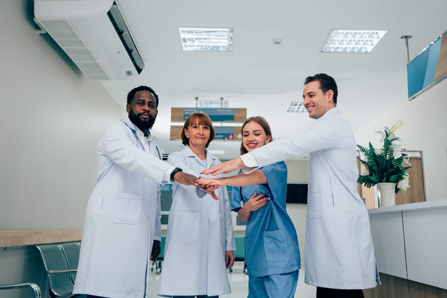 Holding Para Clínicas - ARBOS CONTABILIDADE